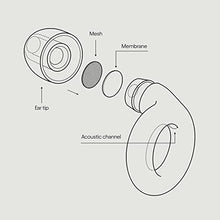 Load image into Gallery viewer, Loop Experience Ear Plugs for Concerts
