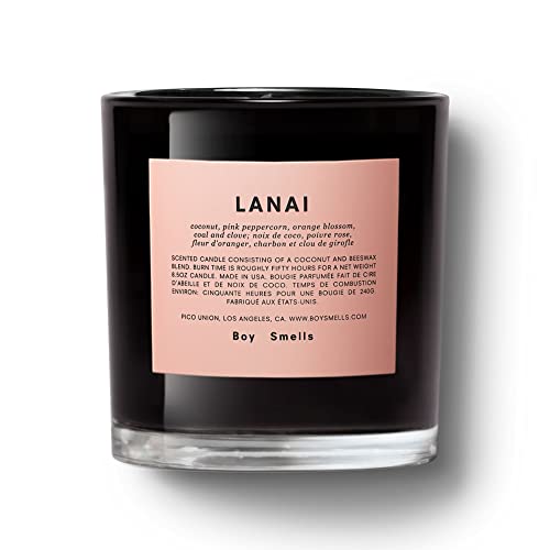 Lanai Boy Smells Candle | 50 Hour Long Burn | Coconut & Beeswax Blend | Luxury Scented Candles for Home (8.5 oz)