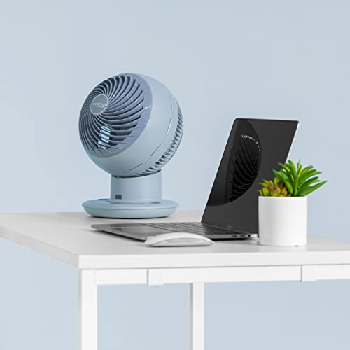 IRIS USA Oscillating Globe Fan