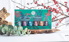 Load image into Gallery viewer, Woolzies Essential oil gift set of 6 Therapeutic essential oils, blend of essential oils
