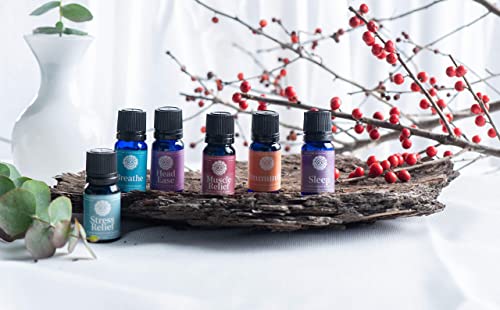 Woolzies Essential oil gift set of 6 Therapeutic essential oils, blend of essential oils