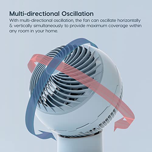 IRIS USA Oscillating Globe Fan