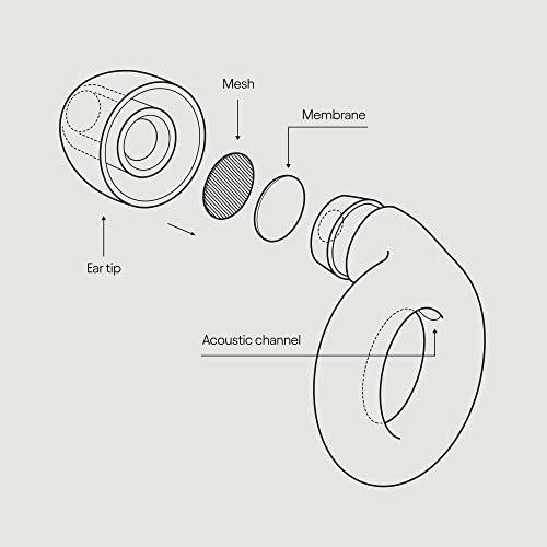 Loop Experience Ear Plugs for Concerts