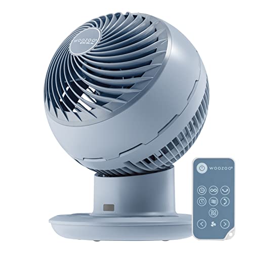 IRIS USA Oscillating Globe Fan