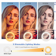 Load image into Gallery viewer, Cyezcor Clip-On Ring Light
