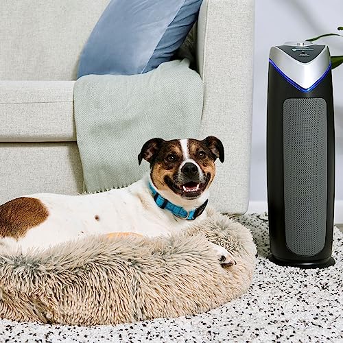 Germ Guardian Air Purifier with HEPA 13 Filter